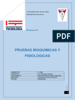 Practica 3 Labo PDF