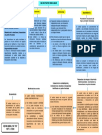 Mapa Conceptual NIA 550 PDF