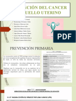 Prev Cancer Cérvix - Seminario