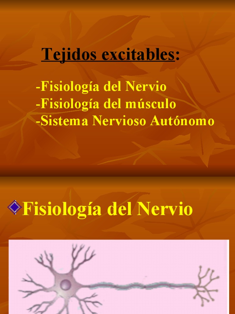 Fisiología del Sistema Nervioso y Neuronas | PDF | Sinapsis | Neurona