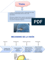 Fotoquímica de La Visión