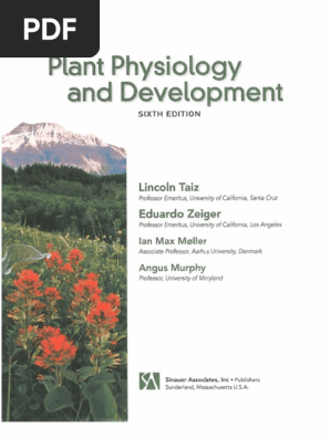 PLANTphysio 6th Edn ZEIGER PDF | PDF