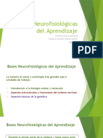 Bases_Neurofisiologicas_del_Aprendizaje