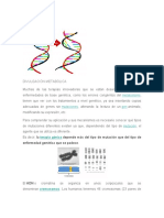 Mutaciones Geneticas