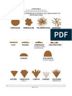 Annexure 4 Colony Morphology, Shape & Cell Arrangment of Microorganism