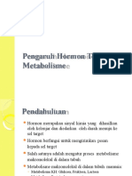Pengaruh Hormon THD Metabolisme