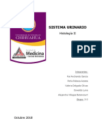 SISTEMA-URINARIO-1.docx