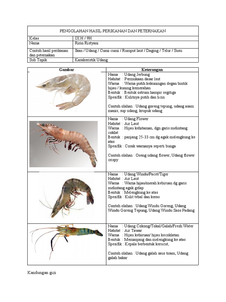 Lds Pengolahan Hasil Perikanan Dan Peternakan Udang 1
