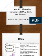Lesson 4-7: Molecular Structure of DNA, RNA, and Proteins: Rhoda S.R. Cayanan, RPH, LPT