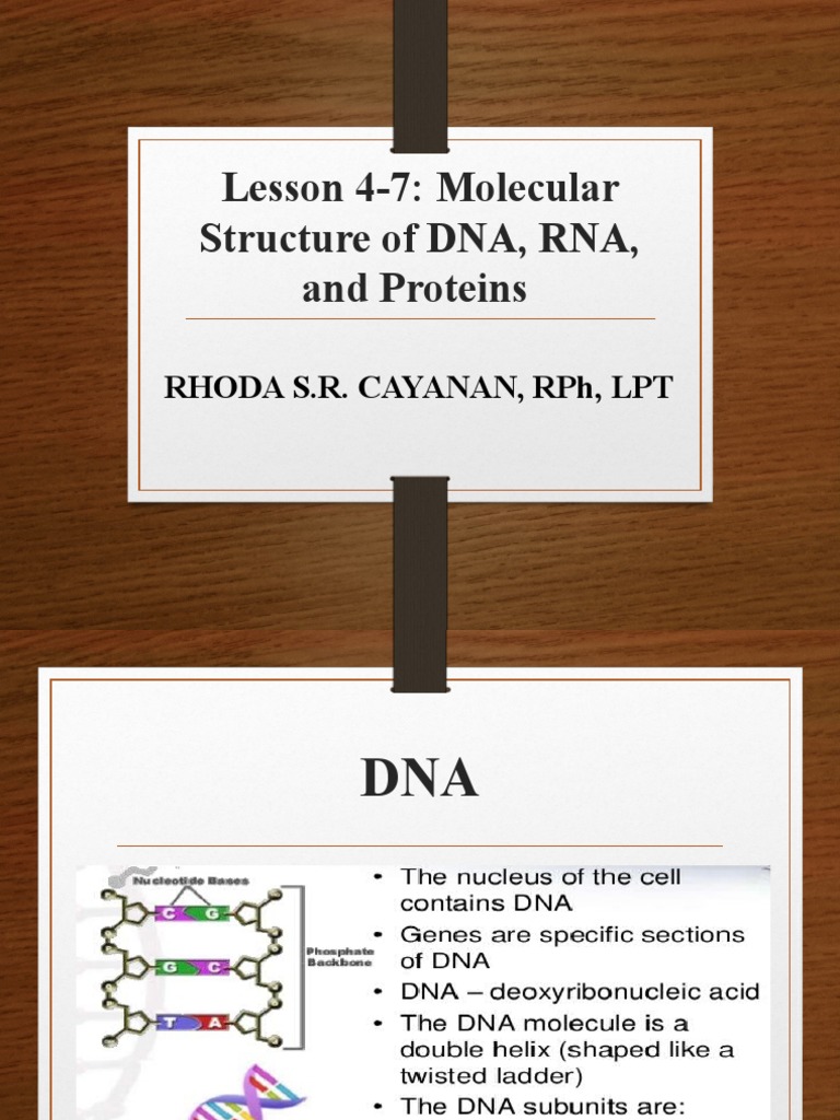 Lesson 4-7: Molecular Structure of DNA, RNA, and Proteins: Rhoda S.R ...