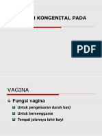Kelainan Kongenital Vagina
