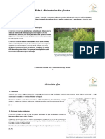 Fiche 0 - Artemisia Afra