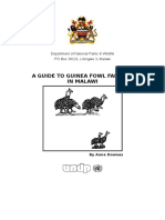 guineafowlfarmingmalawi_annedownes-170316-1.pdf