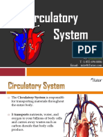 thecirculatorysystem-130618021608-phpapp01.pdf