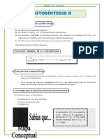 FasesFotosintesís-CuartoSecundaria VALERIA.doc