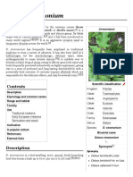 Datura Stramonium - Wikipedia PDF