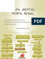 Mapa de Perfil Renal