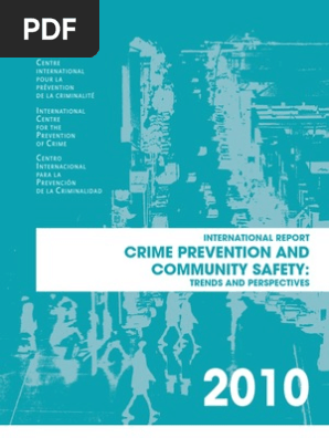 International Report 2010 Pdf