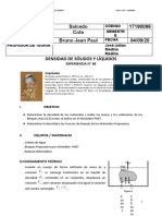 Copia de 6 DENSIDAD SIMULADORES PETH