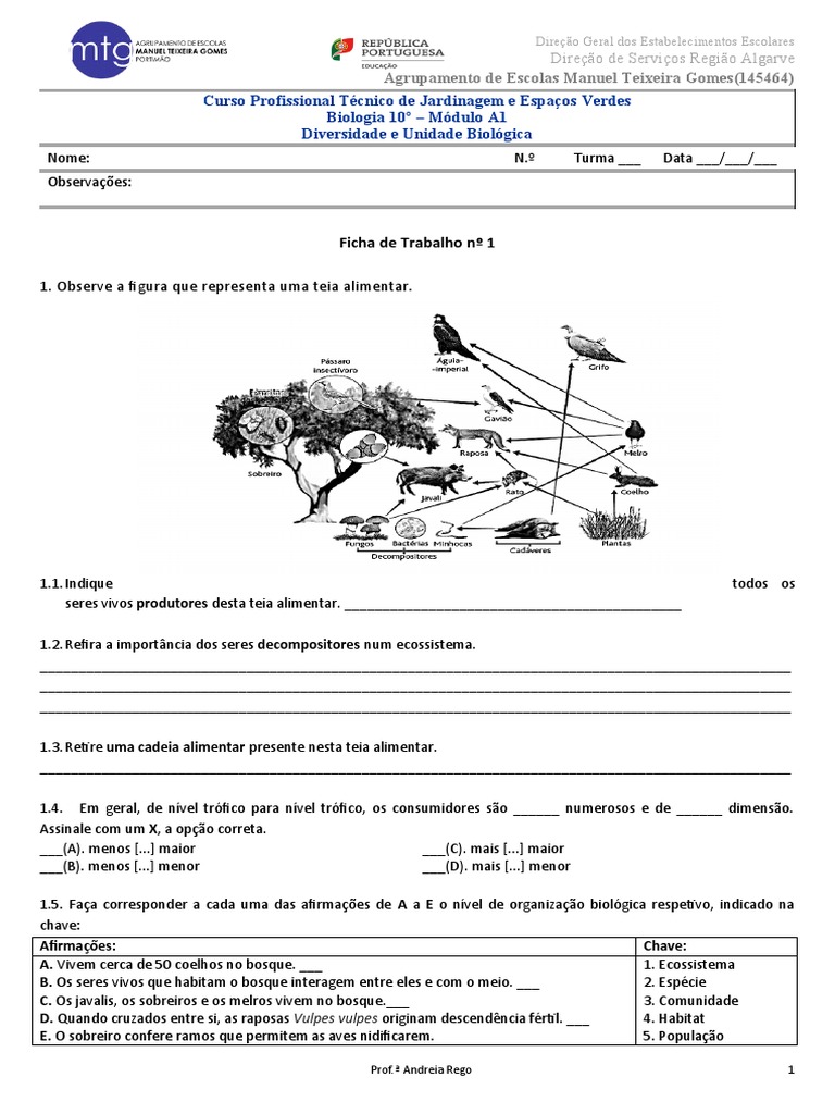 Grátis: B1.Cap. Mollusca Brusca Brusca 2016 - port - Material Claro e  Objetivo em PDF para Estudo Rápido, image size:768x1024