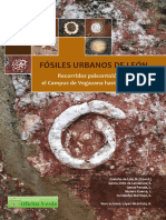 Fósiles Urbanos de León