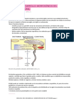 Biologia Del Desarrollo. Morfogénesis Del Ectodermo Neural