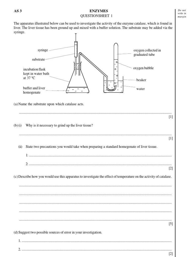 Enzymes Questions PDF Enzyme Enzyme Inhibitor