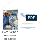 Etapa Tecnica y Profesional Del Cuidado