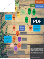 Mapa Mental Introducción A La Gastronomía.