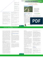 Tomate Cultivo PDF