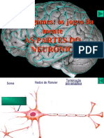 Partes_do_Neuronio