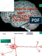 Partes Do Neuronio