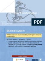 The Human Skeletal System: by Group 1 - Nurasmiati - Stevhani Febryaningsih - St. Syahira