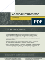 Adenosin Trifosfato