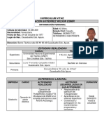 Sintesis Curricular Wilson - Actualizado