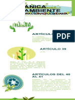 Ley Orgánica del Ambiente-convertido.docx