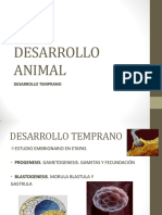 Desarrollo Animal Clase 6