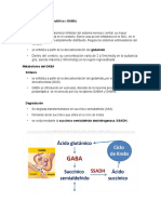 Funciones y patologías del ácido gamma-aminobutírico (GABA