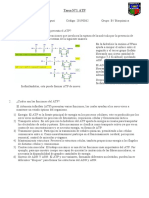 Hidrólisis y Funciones Del ATP