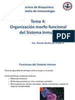 04_Organización morfo-funcional del SI_NNP (1).pdf