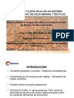 CULTIVO DE TILAPIA ROJA EN UN SISTEMA.pdf