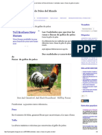 Ver Fotos de Gallos de Pelea Del Mundo - Cualidades Razas o Líneas de Gallos de Pelea