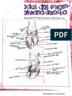 CamScanner 08-27-2020 10.16.21 3.0