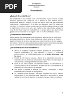 Diversidad étnica