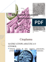 Citoplasma y Orgánulos Membranosos