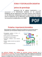 Unidad Ii. Cadena Respiratoria y Fosforilacion Oxidativa PDF