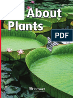 All About Plants