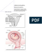 pembentukan-dan-fisiologi-plasenta.doc