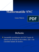 Malformatiile SNC