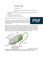 Components of Prokaryotic Cells: Eral Structure of A Prokaryotic Cell: This Figure Shows The Generalized Structure of